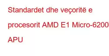 Standardet dhe veçoritë e procesorit AMD E1 Micro-6200T APU