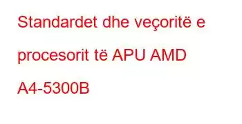 Standardet dhe veçoritë e procesorit të APU AMD A4-5300B