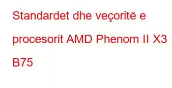 Standardet dhe veçoritë e procesorit AMD Phenom II X3 B75