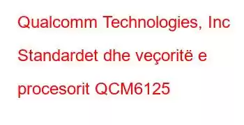 Qualcomm Technologies, Inc Standardet dhe veçoritë e procesorit QCM6125