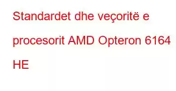 Standardet dhe veçoritë e procesorit AMD Opteron 6164 HE