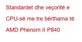 Standardet dhe veçoritë e CPU-së me tre bërthama të AMD Phenom II P840