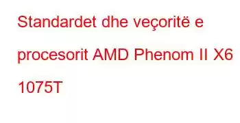 Standardet dhe veçoritë e procesorit AMD Phenom II X6 1075T