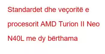 Standardet dhe veçoritë e procesorit AMD Turion II Neo N40L me dy bërthama