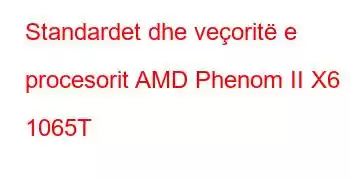 Standardet dhe veçoritë e procesorit AMD Phenom II X6 1065T