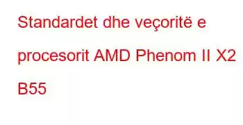 Standardet dhe veçoritë e procesorit AMD Phenom II X2 B55