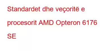 Standardet dhe veçoritë e procesorit AMD Opteron 6176 SE