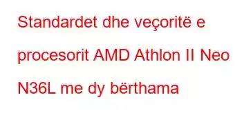 Standardet dhe veçoritë e procesorit AMD Athlon II Neo N36L me dy bërthama