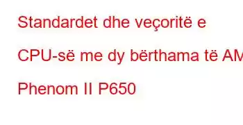 Standardet dhe veçoritë e CPU-së me dy bërthama të AMD Phenom II P650