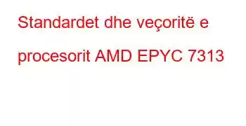 Standardet dhe veçoritë e procesorit AMD EPYC 7313