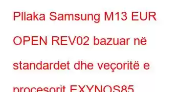 Pllaka Samsung M13 EUR OPEN REV02 bazuar në standardet dhe veçoritë e procesorit EXYNOS85